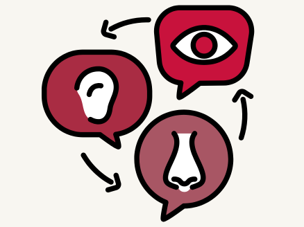 Fun Facts About Your Ears, Nose, and Throat